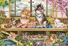 Beverly 1000pc Jigsaw Puzzle Shiba Inu on Veranda ‎31-525 49x72cm Made in Japan