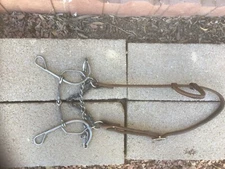 Trammel broken short shank snaffle combination nose chain band with headstall