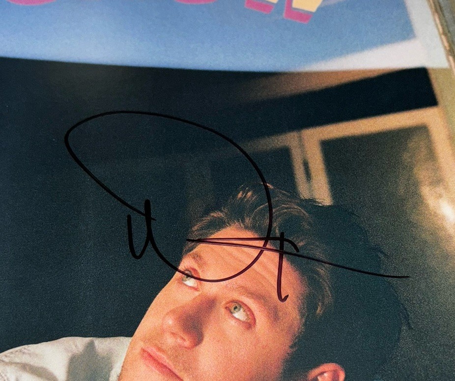 Niall Horan Signed Vinyl Album The Show One Direction With Proof