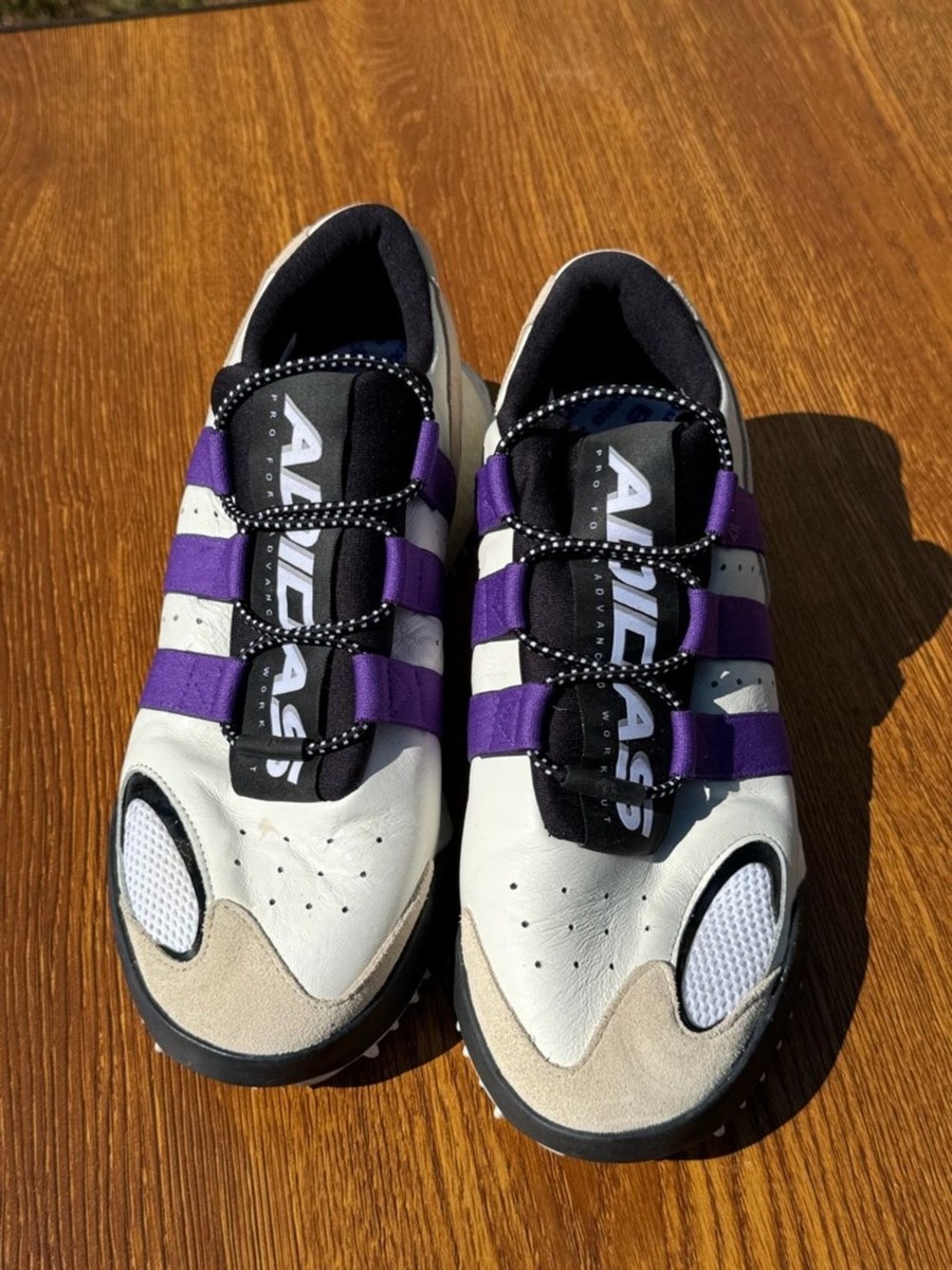 Size 10.5 - Alexander Wang x adidas Wangbody Run Sharp Purple for