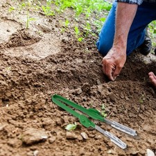Horticultural Tweezers Essential Tool for Garden Education and Practice