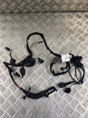 Audi A6 S6 C7 4G 2018 Front Door Wiring Harness Wiring Kit 4G5971029GL ETO24408