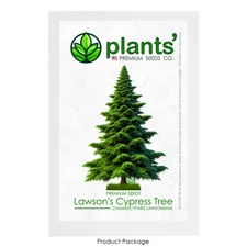 Lawson's Cypress Tree | Premium Seeds | Chamaecyparis lawsoniana | Plants'®