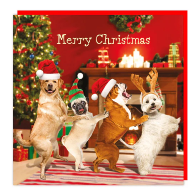holographic christmas cards SANTA Sleigh animals 3D Lenticular Hologram Holographic Christmas Card :  Amazon.co.uk: Everything Else