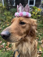 Dogs Birthday Glitter Crown Hat, Dogs First birthday Hat, Photo Prop, 1st