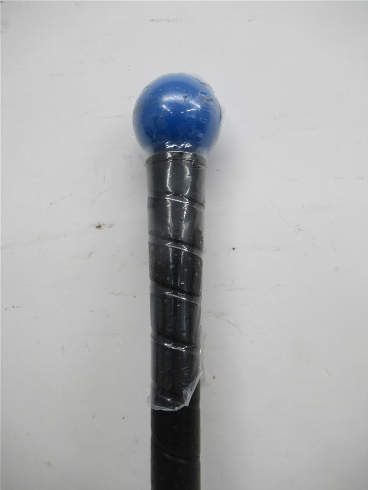 Orange Whip Trainer , Compact