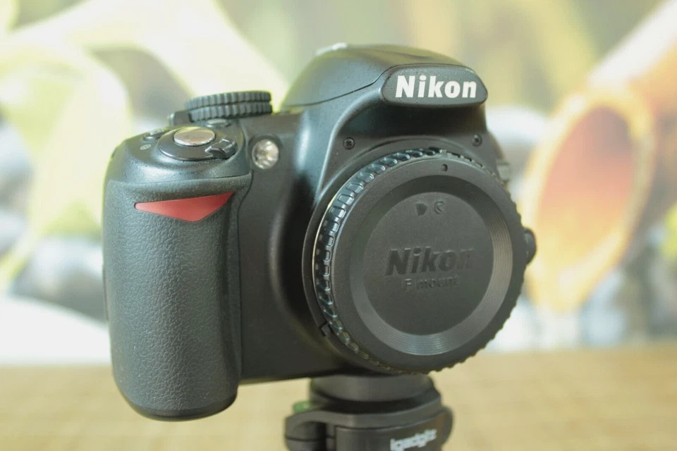 Nikon D3100, foto 2 de 5