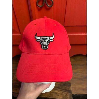 Chicago Bulls Visa Signature Seba Baseball Cap Hat Never Worn Embroidered Silvr 