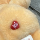 Kenner Care Bears cousin bright heart raccoon swift heart rabbit, and lock heat — photo 6