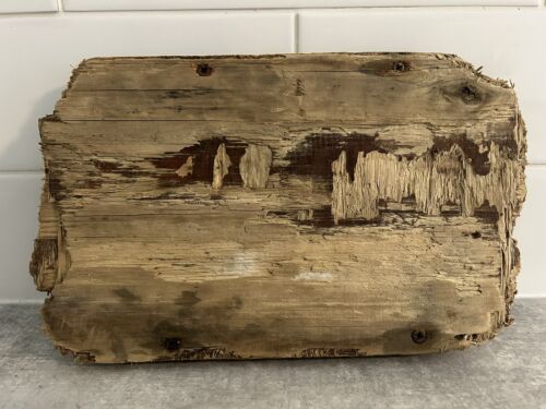 Driftwood 1 Flat Boat Piece L29cm W18cm D2.4cm - Afbeelding 1 van 7