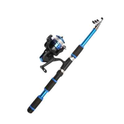 Set Full Kits with Telescopic Fishing Rod and Spinning Reel Baits Hooks