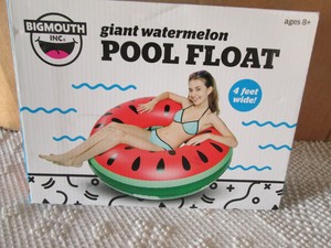watermelon slice pool float