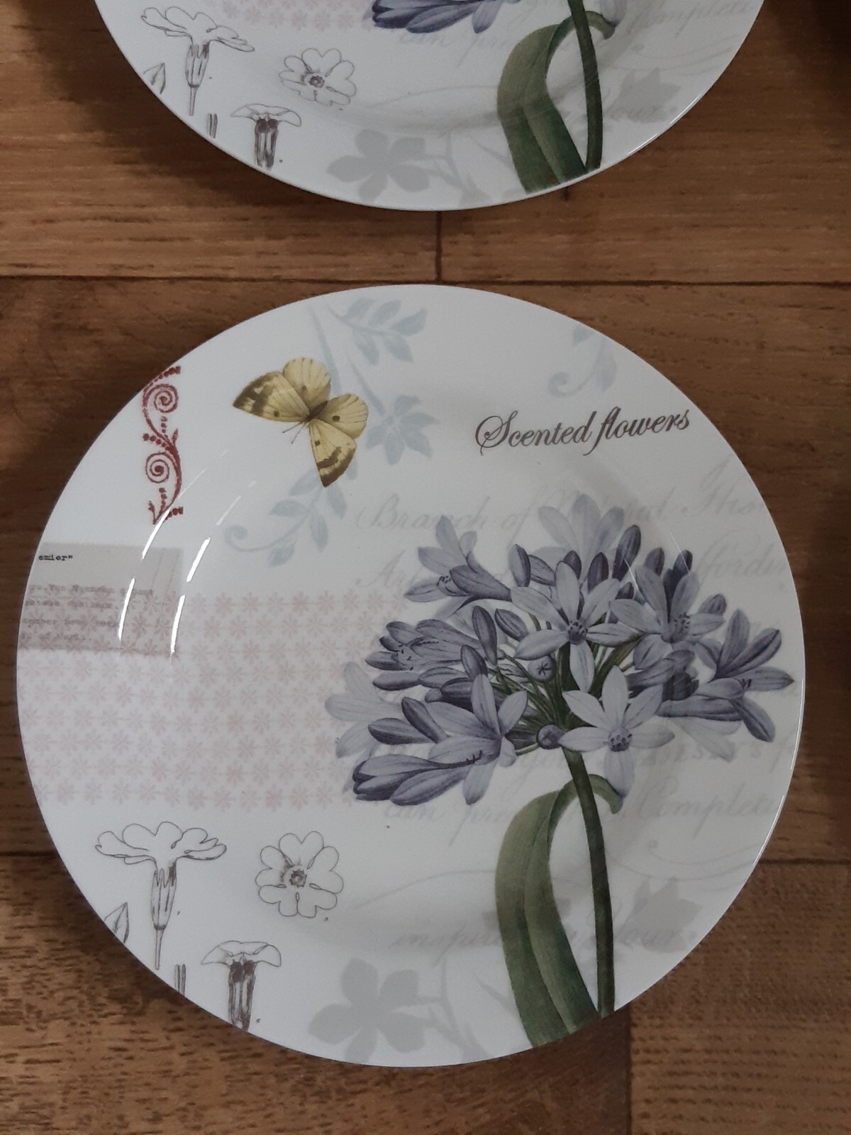 ROYAL WORCESTER x RHS Tea & Cake Set Teacups Saucers Plates x 4 SUMMER