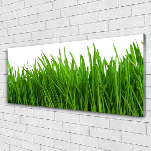 Tableau mural Image sur Plexiglas® 125x50 Floral Tournesol | UK