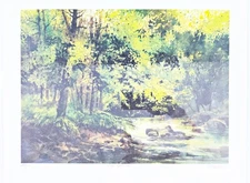 River Impressions Print By Tom Lynch Signed & Numbered 17.5" x 22"