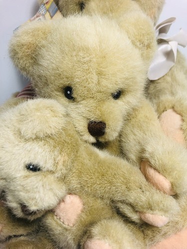 Dakin Cherished Teddies Friends Come In All Sizes 13" 1994 w/Tag NOS Plush - Picture 4 of 9