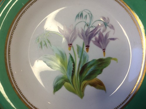 STUNNING FLORAL DESSERT PLATES AND COMPORT C.1880 POSSIBLY WORCESTER - CHOICE - Foto 21 di 31