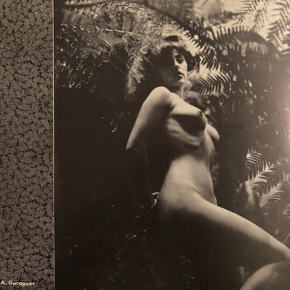 SEXY COVER CHEESECAKE SPECIAL OBI ART BOOK BED ROOM MUSIC JAPAN 8INCH FLEXI X2 — 第 4/4 张图片