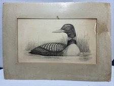 Vintage Jonah's Workshop Charcoal Drawing of a Loon By Virginia Miller - NIP