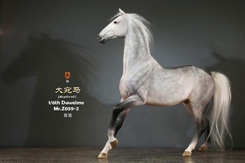 Mr.z 1/6 Duweime Modell Tier Pferd Actionfigur Home Office Dekor Spielzeug Geschenk - Bild 25 von 68