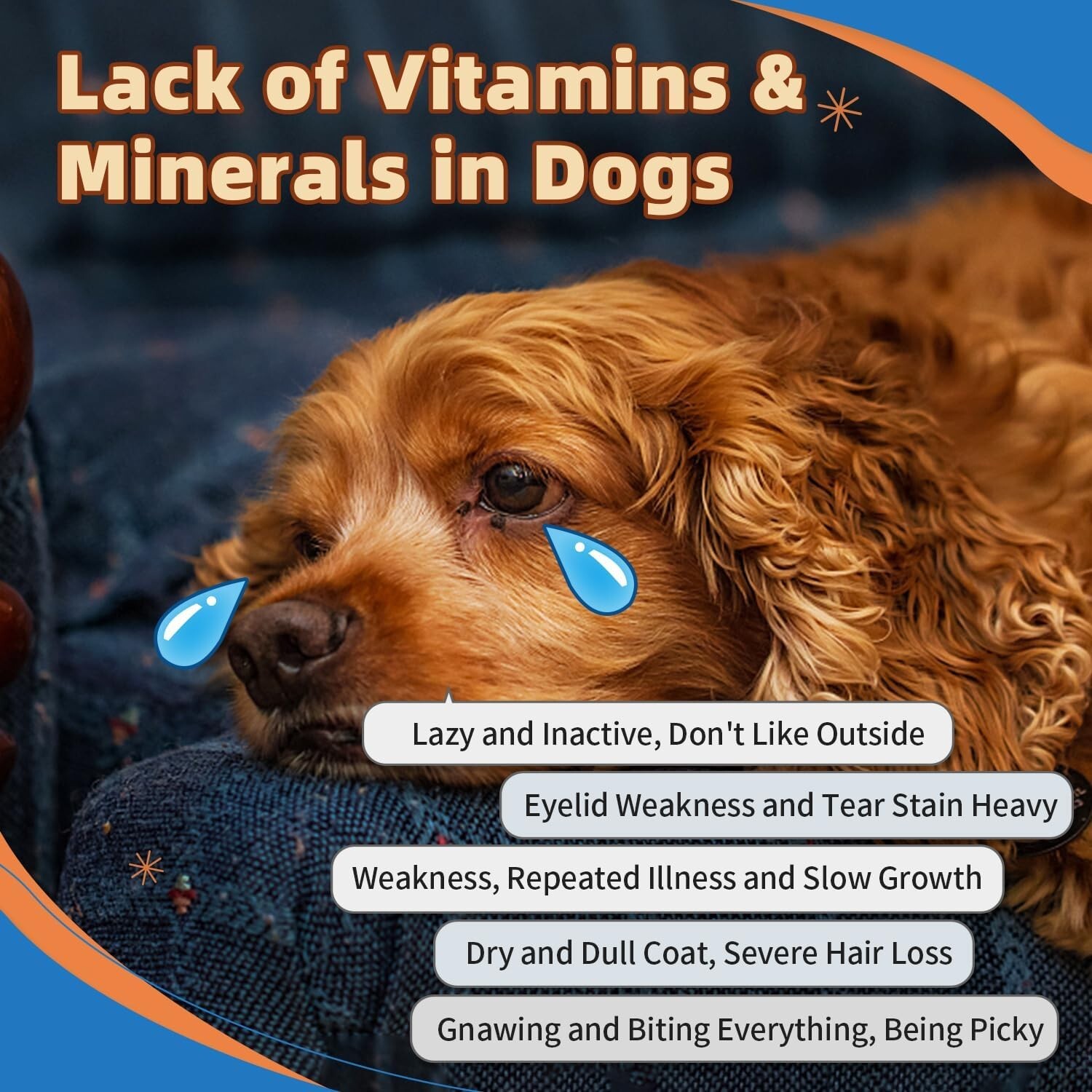 Dog Multivitamin Powder with Glucosamine, Dog Vitamins and Supplements for Im...