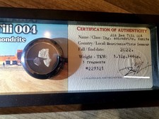 Rare dunite meteorite Ain Ben Tili 004 fragments