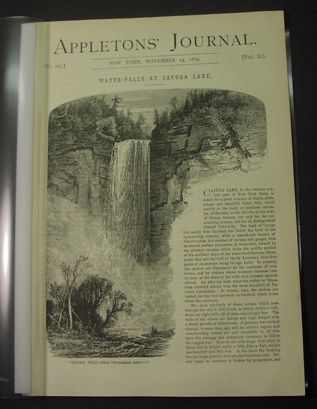 1874: CAYUGA LAKE waterfalls; ARLINGTON CEMETERY; anti- BRIGHAM YOUNG editorial