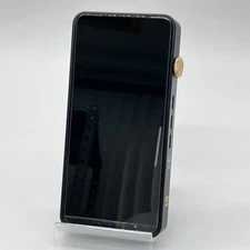 iBasso DX300 High Performance Portable Digital Audio Player Hi-Res DAP From Jp