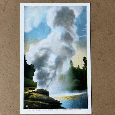 #ad Yellowstone Park Wyoming WY Postcard Riverside Geyser Haynes Photo $19.95