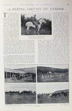 1902 Print West Somerset Imperial Yeomanry Exmoor Camp Minehead Stables Pferde
