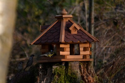Vogelfutterhaus Blockhaus Vogelhaus 6-eckig mit Futtersilo Vogelvilla Holz Rot