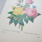 Bild 22 von 24