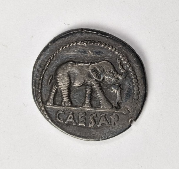 アルザリオン 3枚 X Rare Old Rome Julius Caesar 48-49 B C AR Denarius Elephant