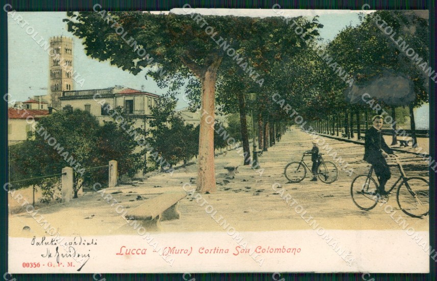 Lucca Città ABRASA cartolina ZKM9435