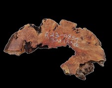 Redwood Burl  DIY  River Table  Live Edge  R23-0859