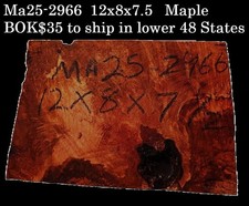 Maple BURL Turning block Craft Wood DIY Bowl turning MA25-2966
