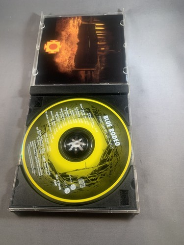 Blue Rodeo - Five Days in July (CD, WEA Records, 1993) Pre-owned - Bild 3 von 4