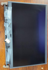Dell LCD Screen assembly gray