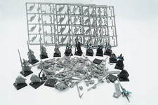 Warhammer Fantasy Battle Dunkelelfen Krieger Regiment Set 17 Plastik Miniaturen