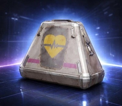 Looting Mk3 Survivor Blue Print Message For Question