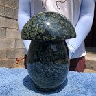 23.9LB Natural Kambaba Jasper Quartz Crystal Mushroom Mineral specimen Healing — photo 7