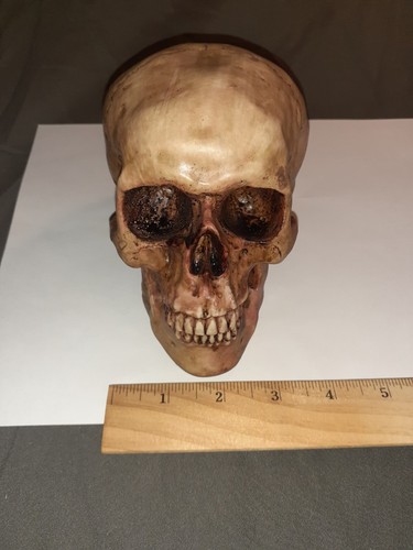 NUOVI regali e decorazioni sorridenti replica realistica teschio umano statua casa (36245) USA - Foto 1 di 14