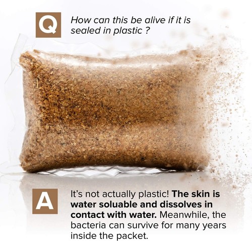 Septic Tank Treatment - 1 Year Supply of Dissolvable Easy Flush Live Bacteria - Picture 4 of 7