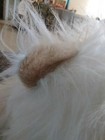 Bild 11 von 12