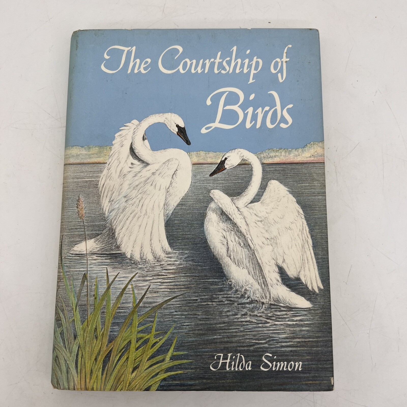 The Courtship of Birds Hardback Book By Hilda Simon 1977