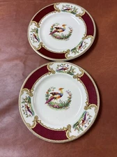 2 - Vintage Myott Staffordshire, England “Chelsea Bird” Red 9” Luncheon Plates.
