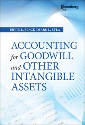 Accounting for Goodwill and Other Intangible Assets (Hardback or Cased Book)