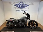 2024 Harley Davidson Softail
