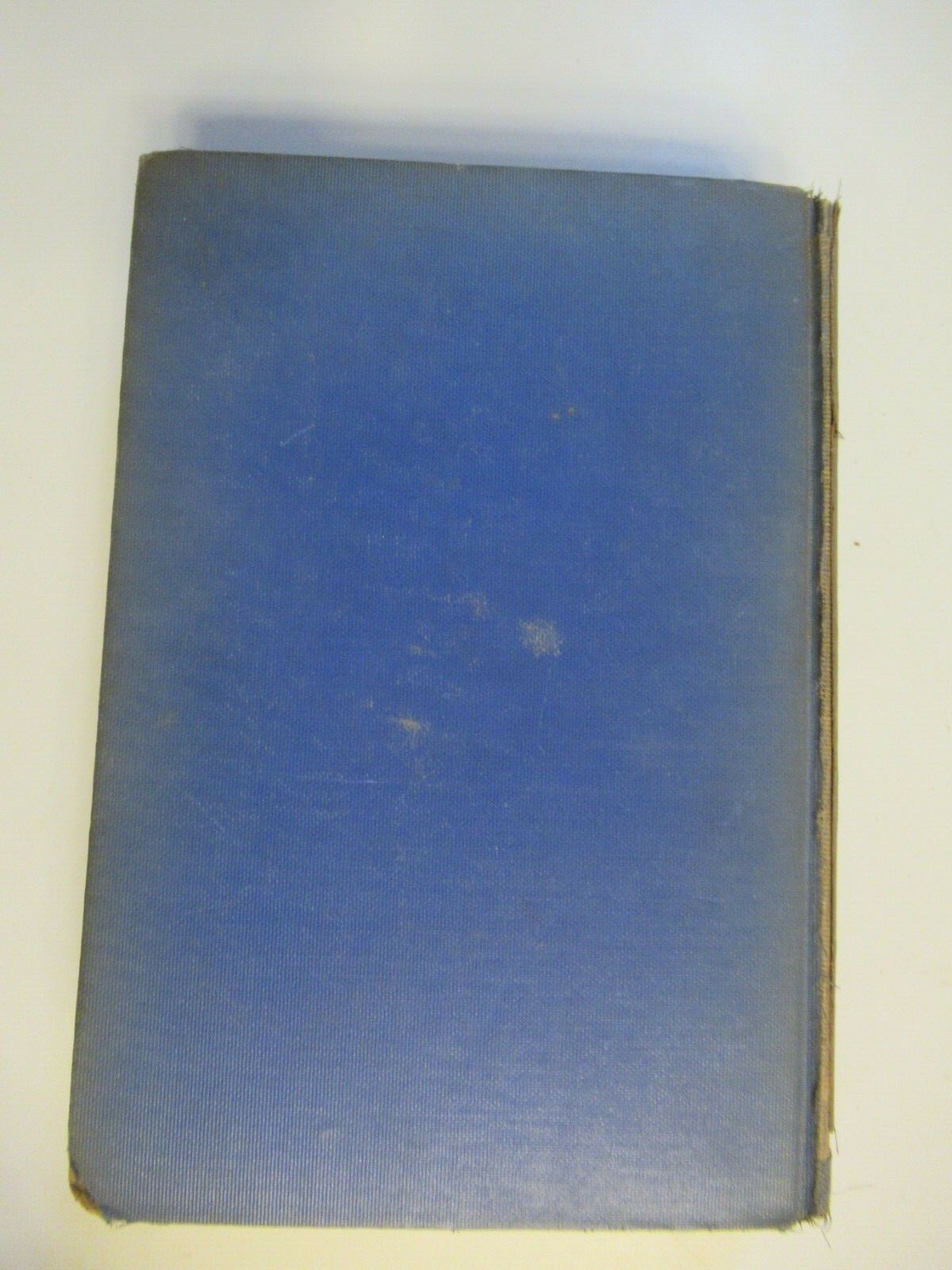 Bild 8 von 12