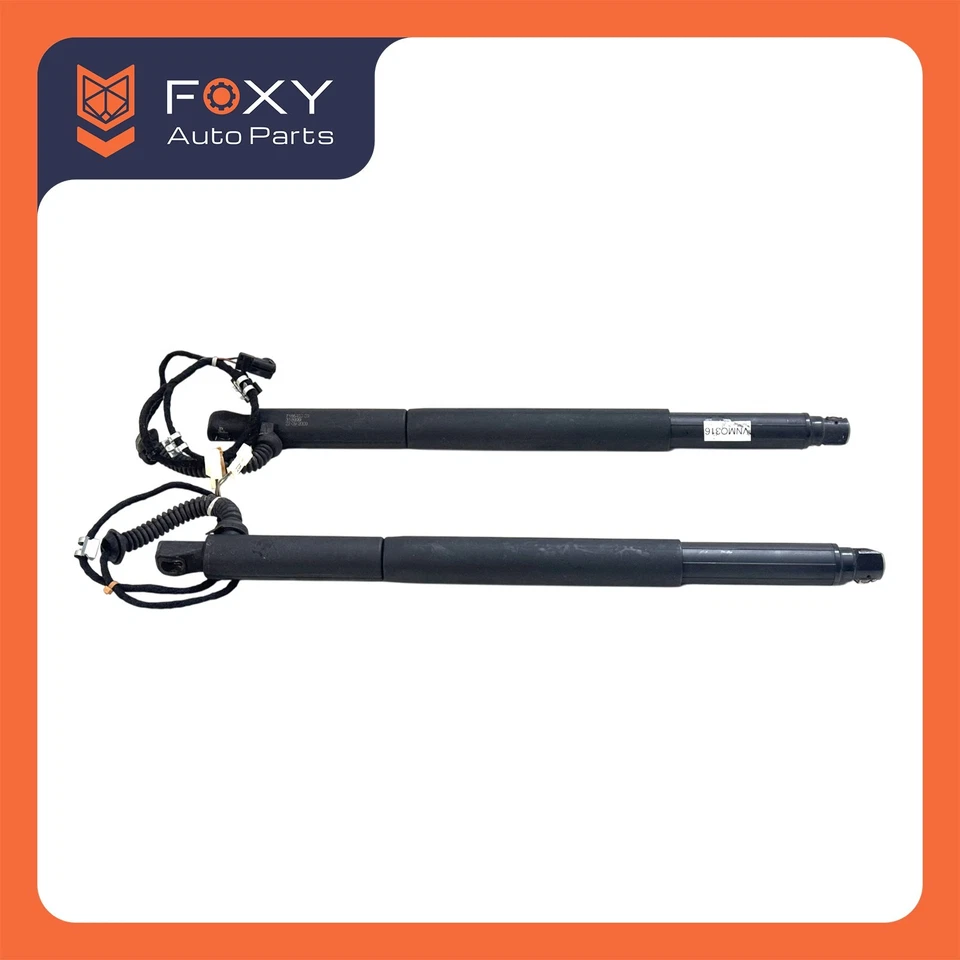 Conjunto de apoio de suspensão traseiro esquerdo e direito BMW X6 E71 E72 2008-2014 porta traseira fabricante de equipamento original - Imagem 3 de 4